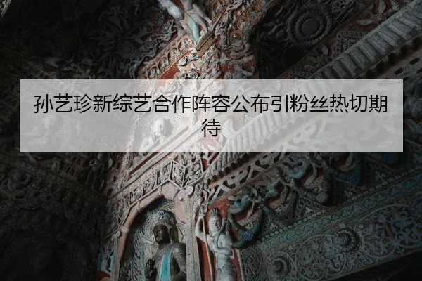 孙艺珍新综艺合作阵容公布引粉丝热切期待